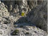 Lienzer Dolomitenhütte - Große Sandspitze